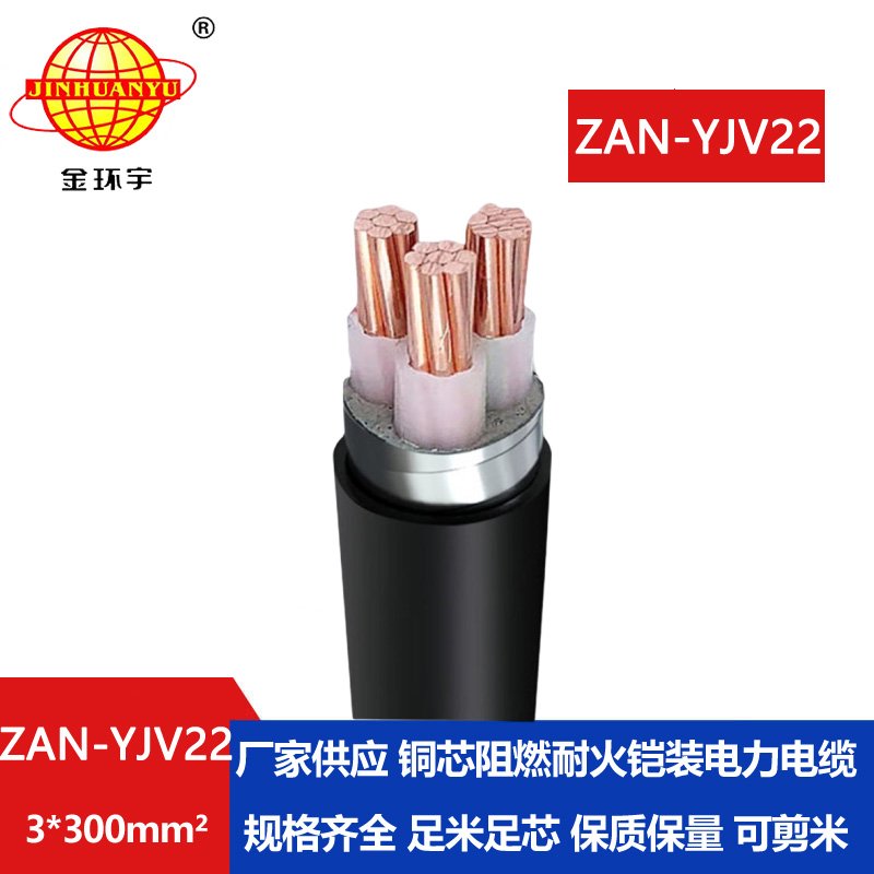 金環(huán)宇 鎧裝阻燃耐火電線(xiàn)電纜ZAN-YJV22-3X300電力電