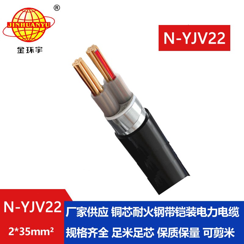 金環(huán)宇電線(xiàn)電纜 N-YJV22-2X35平方 鎧裝耐火電線(xiàn)電纜 深圳yjv22電纜